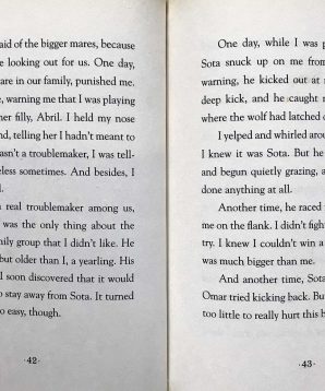 Alternative view of Horse diaries: Black Cloud