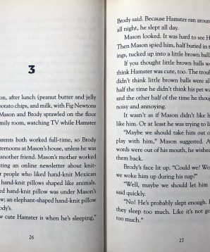 Alternative view of Mason Dixon: pet disasters