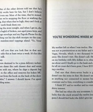 Alternative view of Please ignore Vera Dietz