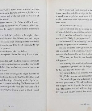 Alternative view of Promise the night