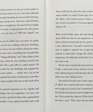 Alternative view of The quick fix