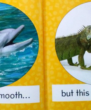 Alternative view of Smooth rough