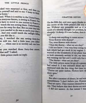 Alternative view of The little prince