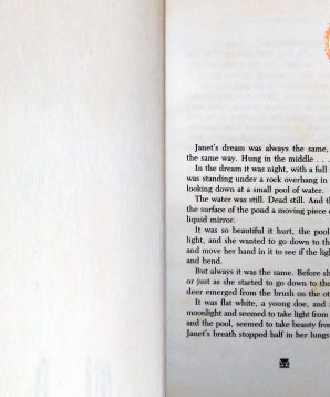 Alternative view of The night the white deer died