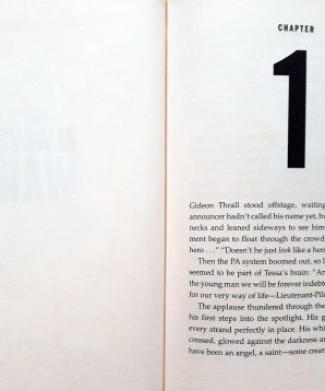 Alternative view of The always war