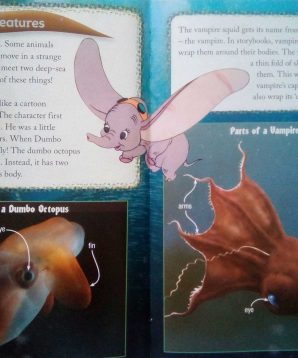 Alternative view of The dumbo octopus and the vampire squid