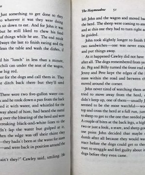 Alternative view of The haymeadow