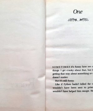 Alternative view of The monument