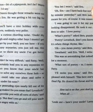 Alternative view of The mystery of the hidden house