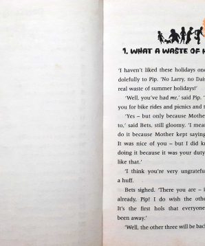 Alternative view of The mystery of the vanished prince