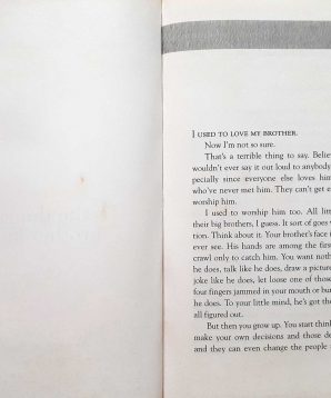 Alternative view of The things a brother knows