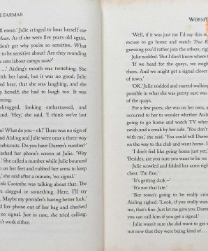 Alternative view of Wormwood gate