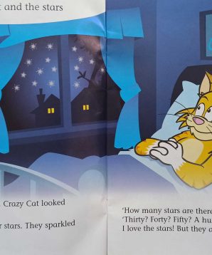 Alternative view of Crazy cat and the stars