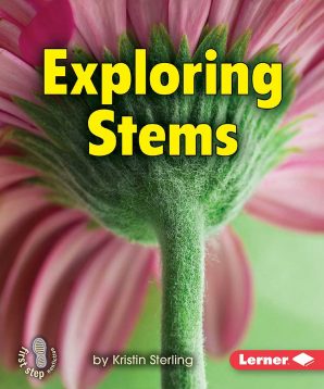 Exploring stems