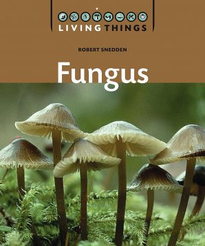 Fungus