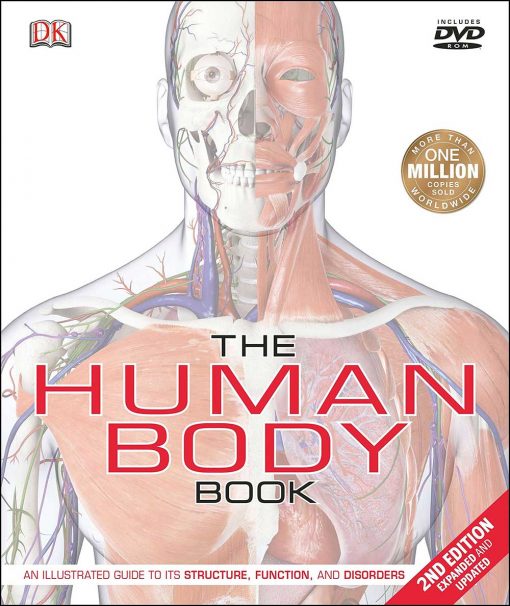 Human body