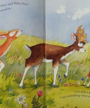 Alternative view of I spy something wonderful