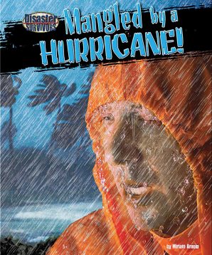 Mangled by a hurricane