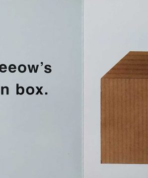 Alternative view of Meeow and the big box