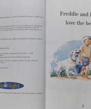 Alternative view of The Bobbsey twins: Freddie and Flossie at the beach