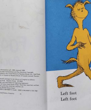 Alternative view of The foot book