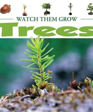Watch them grow: trees