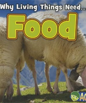 Why living things need food