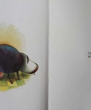 Alternative view of Zorro gets an outfit