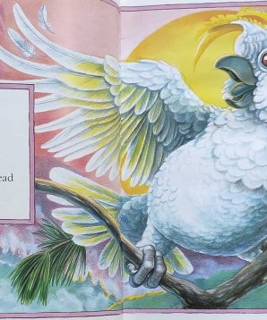 Alternative view of Australian animal verses