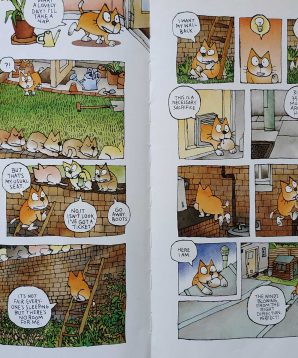 Alternative view of Comic adventures of Boots