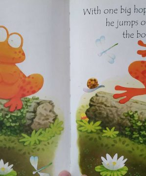 Alternative view of Frog on a log