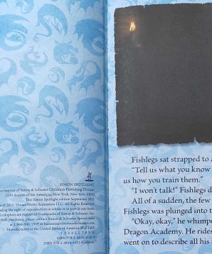 Alternative view of Dragons: live and let fly