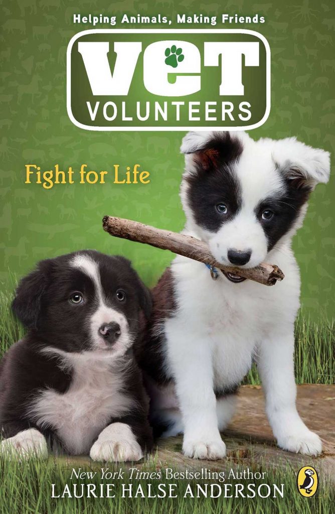 Vet volunteers