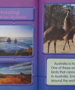 Alternative view of Australian animals: emus