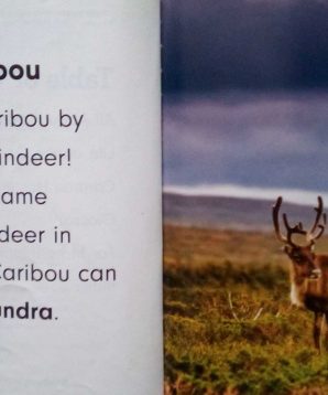 Alternative view of Caribou