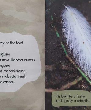 Alternative view of Disguises