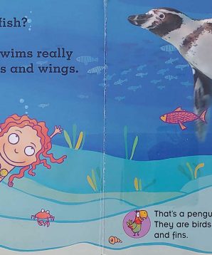 Alternative view of Little pirate: is a shark a fish?