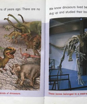 Alternative view of Meat-eating dinosaurs