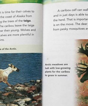 Alternative view of Migrating animals of the land