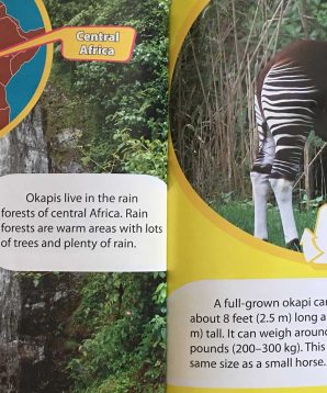 Alternative view of Okapi