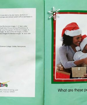 Alternative view of Christmas