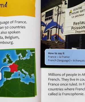 Alternative view of Languages of the world: French