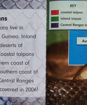 Alternative view of Killer snakes: taipan