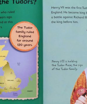 Alternative view of Tudors