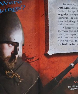 Alternative view of Vikings