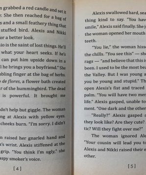 Alternative view of Border town: falling too fast