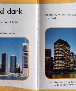 Alternative view of Bright light: all about types of light
