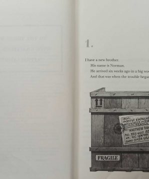 Alternative view of Brother from a box