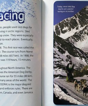 Alternative view of Dogsled racing