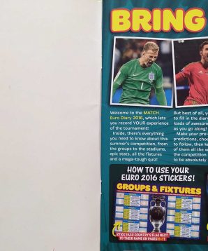 Alternative view of Euro diary 2016